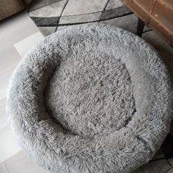 Dog Bed