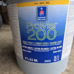 New 5 gallon tinted wall paint