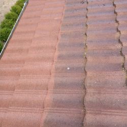 Concrete Cleaning Roof Cleaning N Paint 