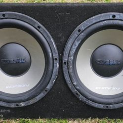12"  Speaker 