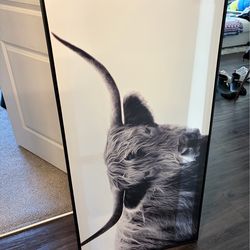 47" x 24" Highland Cow Framed Canvas