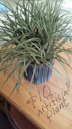 Small artificial plant