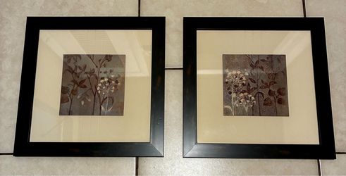 Set of 2 Framed Botanical Art Prints