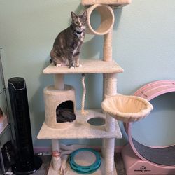 Cat Tower