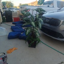 Fake Plant / Tree