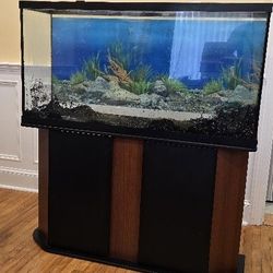 70 Gallon Fish Tank With Stand For Sale. 