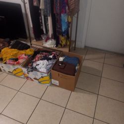 Miscellaneous 