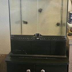 18x18x24 Exo-Terra Tank, Stand, and Accessories (USED)