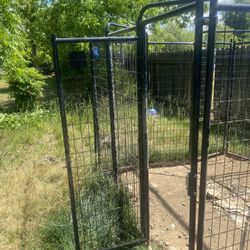 Dog Cage 