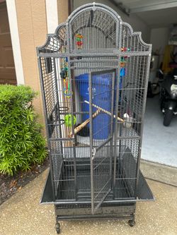 Cage
