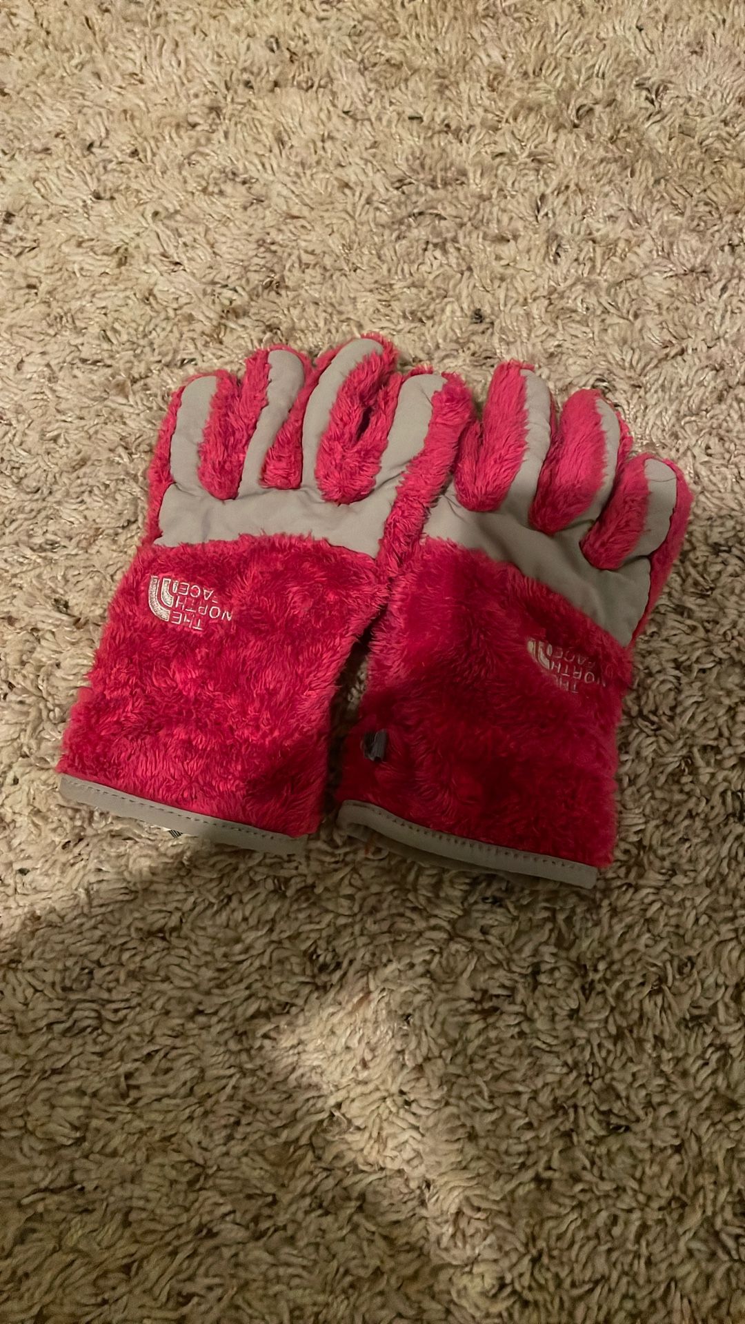 Winter Gloves (The North Face Size S/M)