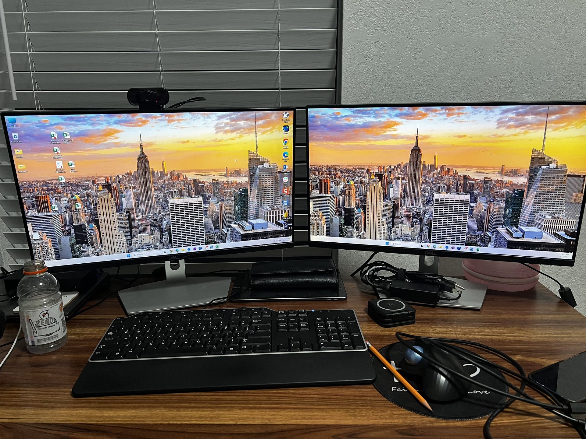 DELL monitors ONE included