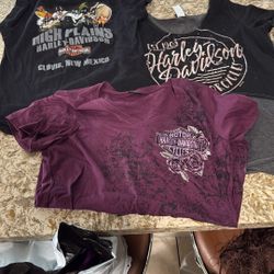 Women’s Harley Davidson Blouse