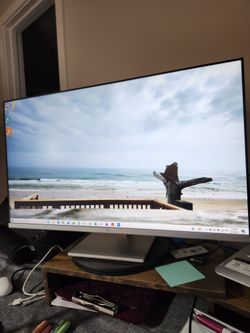 HP Dual Monitors