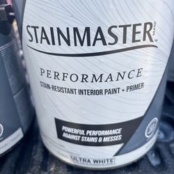 White Paint  Interior