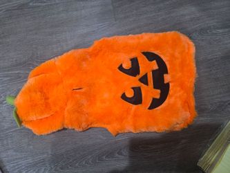 Dog costume