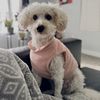 Lanie