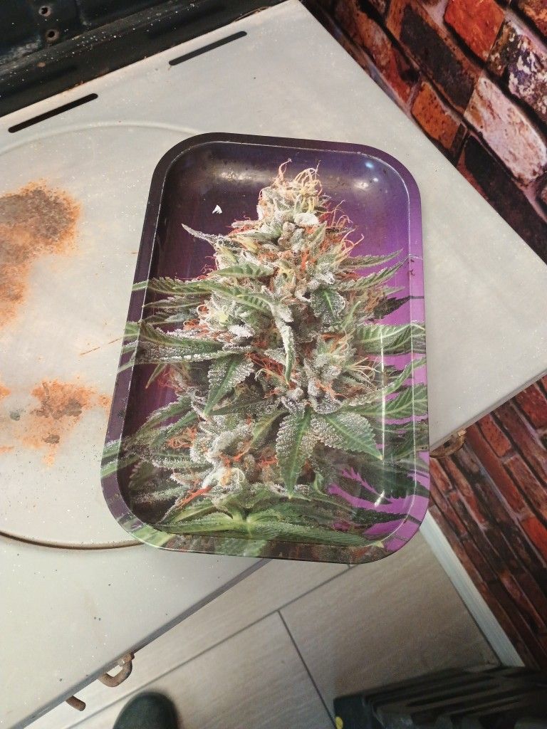 Rolling Tray