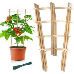 Garden Bamboo Trellis 16 Inch Fan Shaped Small Plant Trellis,Natural Wood Trellis for Climbing Plants Orchid Monstera Indoor Potted Plants-3 Pack 200+