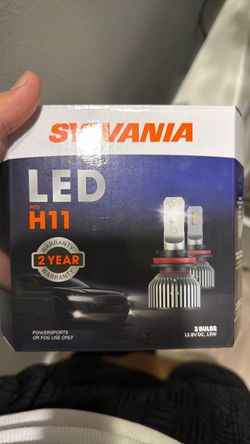 H11 LED Bulbs