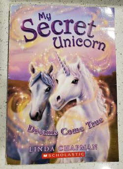 Secret Unicorn Book