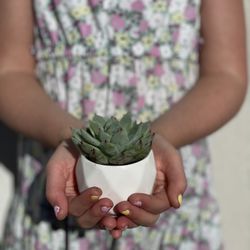 Build-Your-Own Succulent Stand