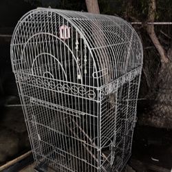 Bird Cage $20