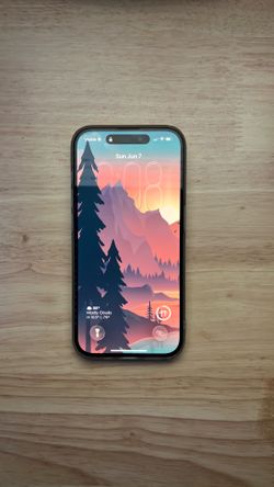 Unlocked Black Titanium iPhone 15 Pro 256GB