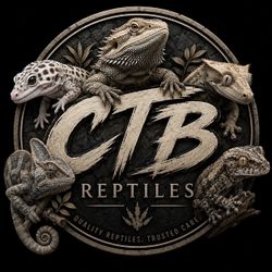 Reptile stickers