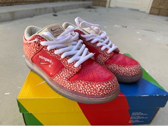 Nike SB Dunk Stingwater Men’s SZ 9.5