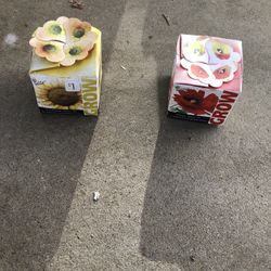 Brand New Farm Seeds Flower To Grow In Your Backyard 