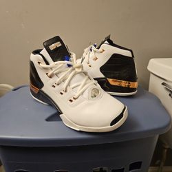 Air Jordan Retro 17 Copper 