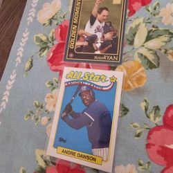 Baseball Hall Of Famers Cards Lot Of 10 Cards No Duplicates 