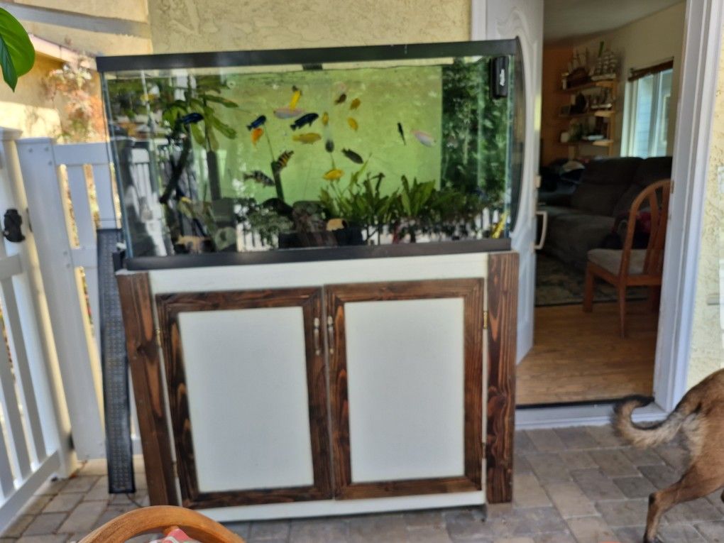 Aquariums.