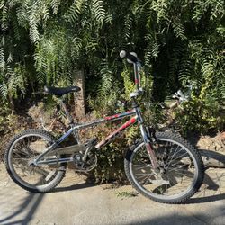 vintage Dyno NSX bike