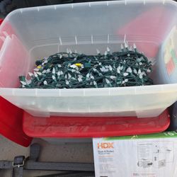 3 Boxes Of Christmas Light Price Each
