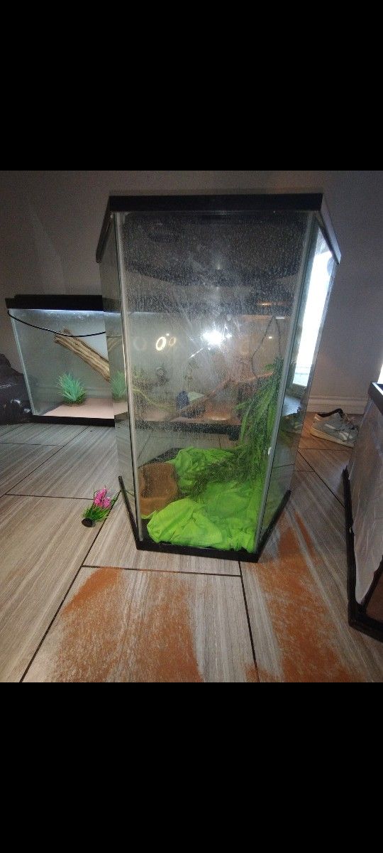 Reptile Tank