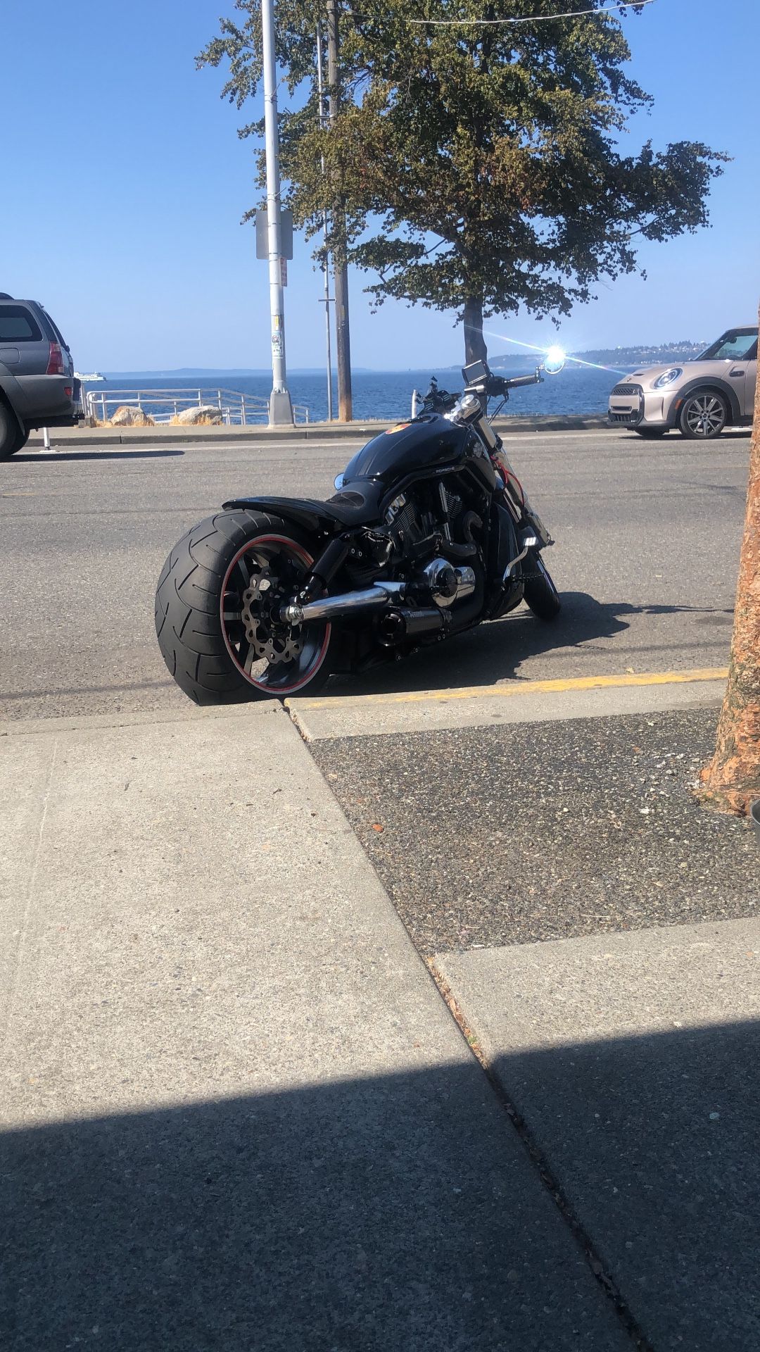 2014 Harley Davidson V-Rod Muscle