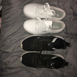 Pumas