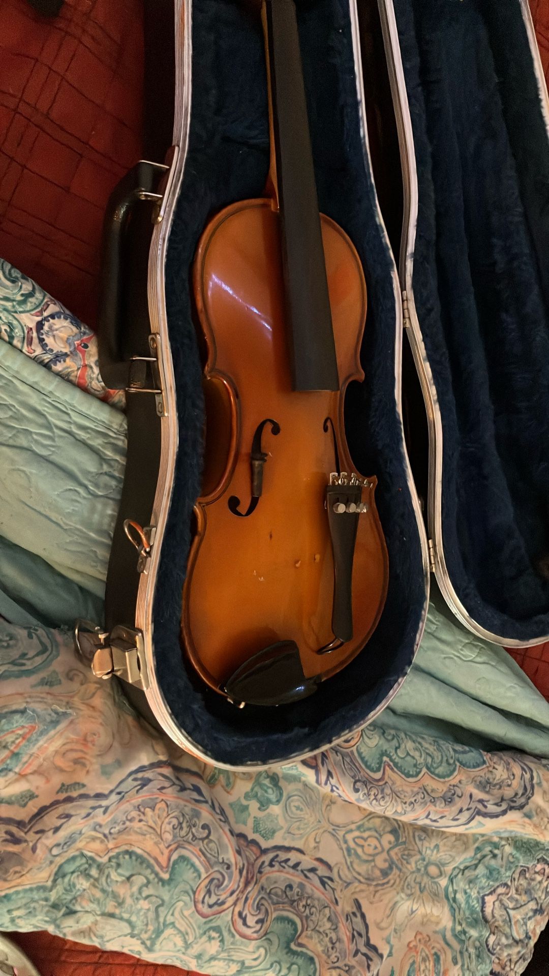 Violin
