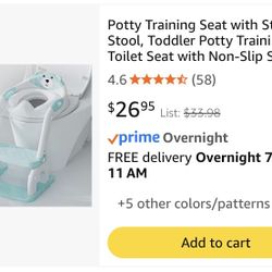 Potty Training Seat With Ladder 