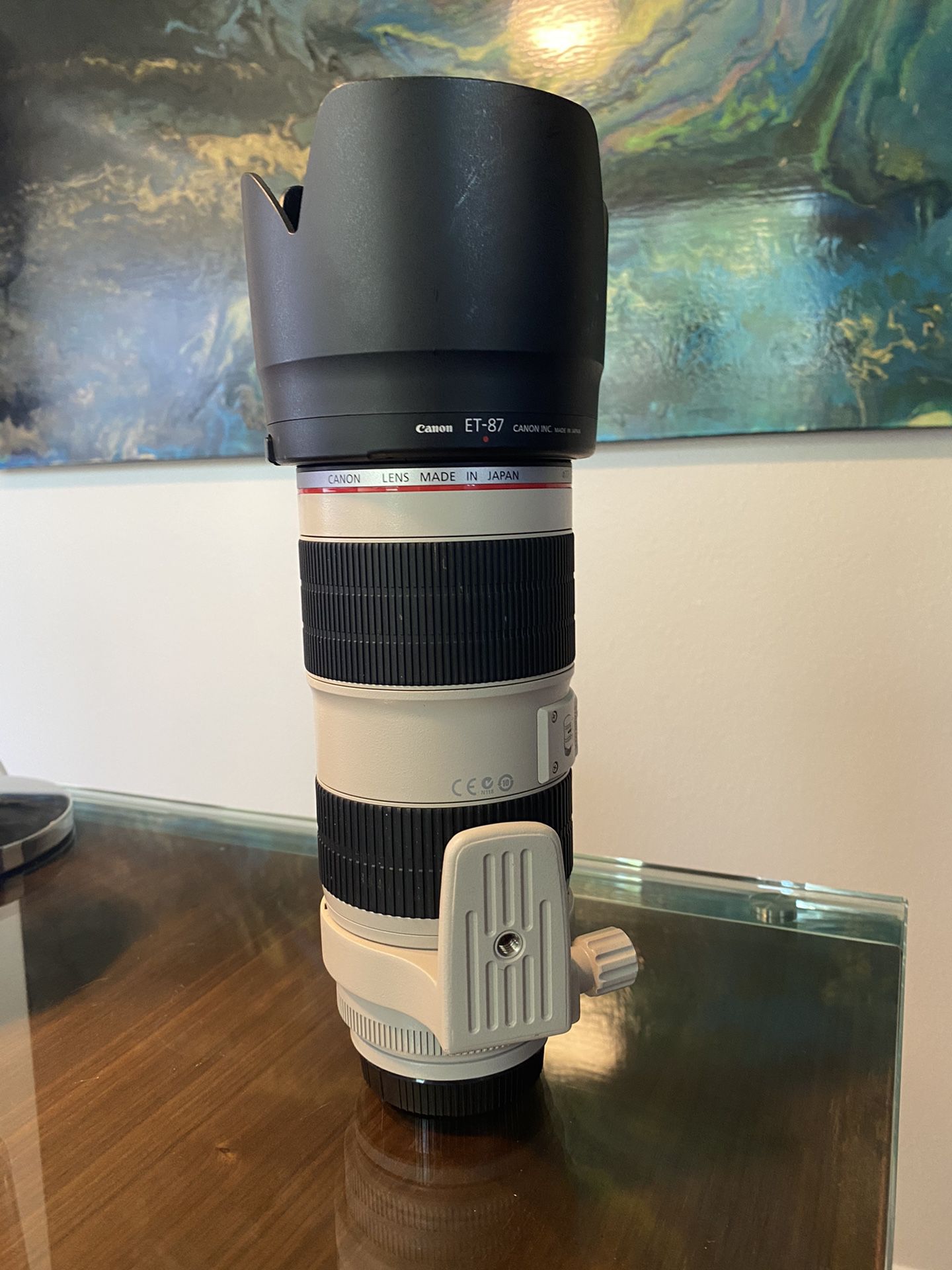 Canon EF 70-200 f/2.8 L IS II Telephoto Lens
