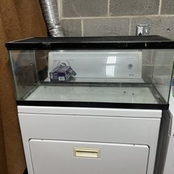 Aquarium 