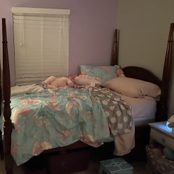 Twin Antique Princess Canopy Bed