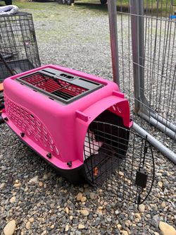 PET carrier