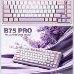 YUNZII B75 PRO Wireless Mechanical Keyboard,75% Layout with Knob,Hot Swap Gasket Custom Structure,Creamy Pre-lubed Switches,RGB Backlit,Bluetooth/Type