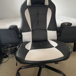 Rolling Office/Gaming Chair