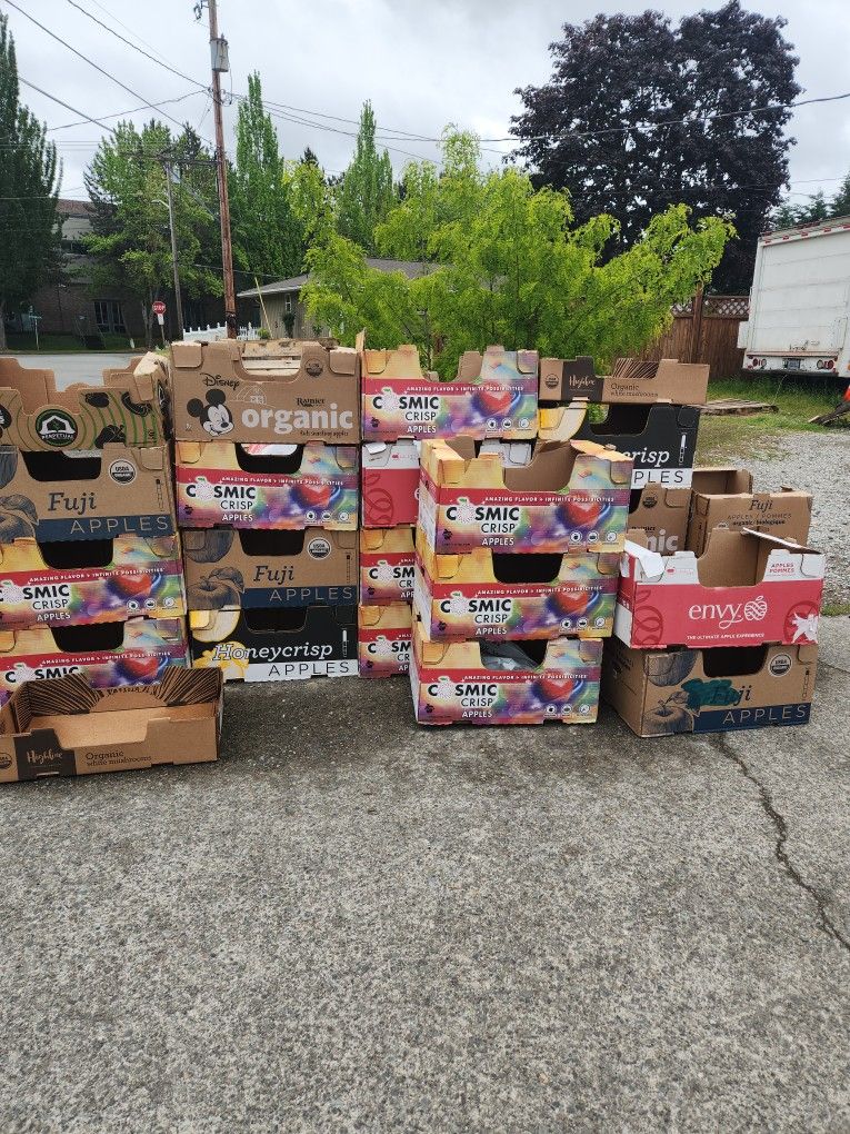 Free Dirty Boxes Apple Boxes No Lids But They Stack