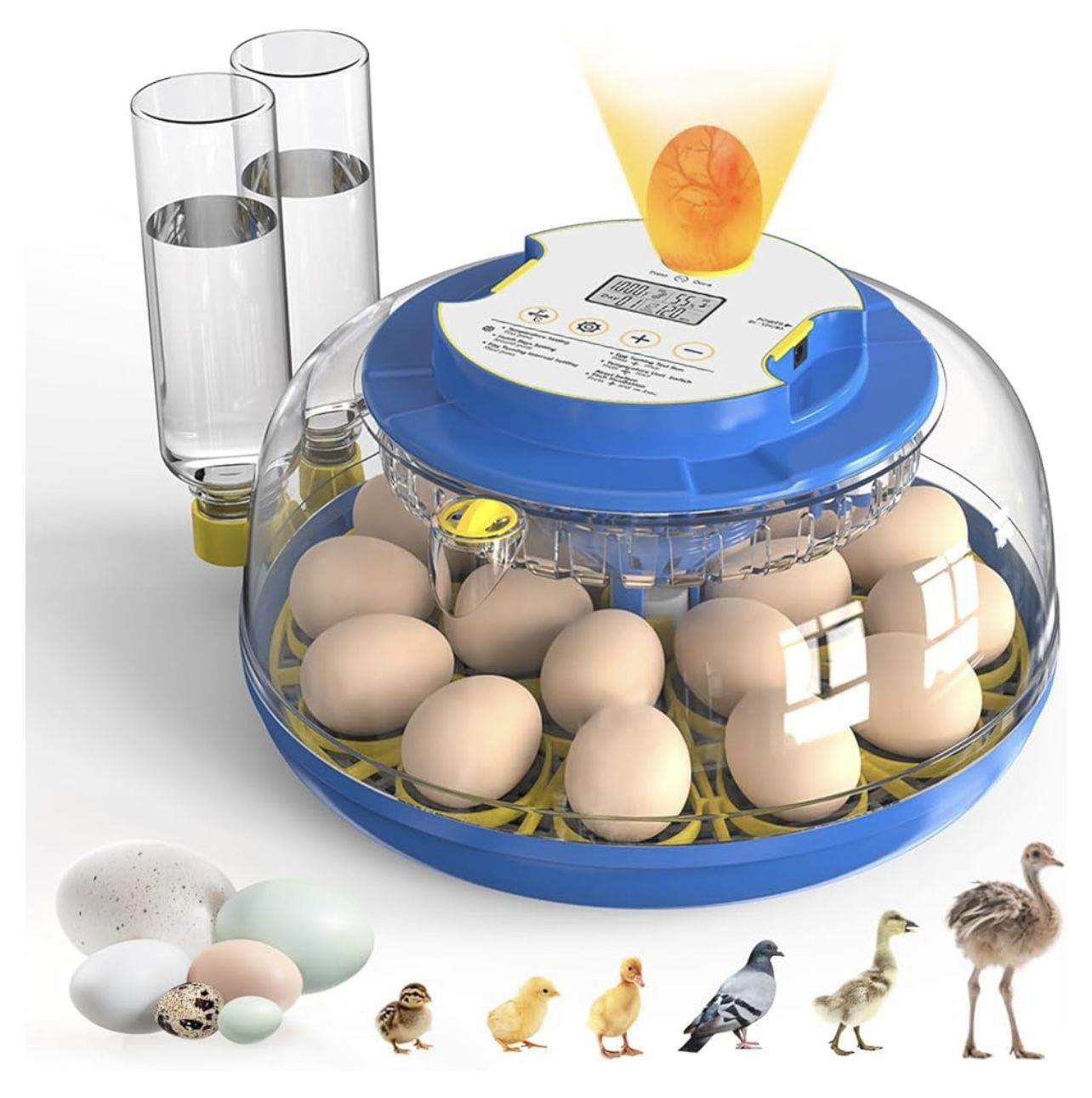 Incubators for Hatching Eggs, 18 Eggs Incubators with Egg Candler Automatic Egg Turner, Temperature & Humidity Control, Full Viewing for Chicken, Duck