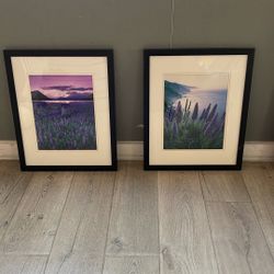 2 Of Wall Lavender Plant Picture Decoration